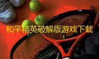 和平精英破解版游戏下载-长期从事游戏工作，聊聊和平精英盗版潜藏的危险